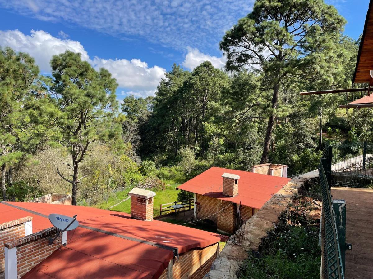 Los Pirineos Мазамитла Экстерьер фото
